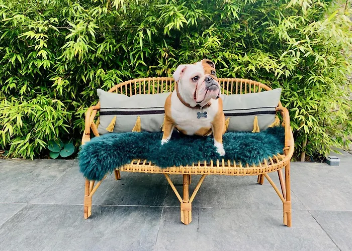 Ferienhaus La Maison Blanche Du 10honfleur Honfleur