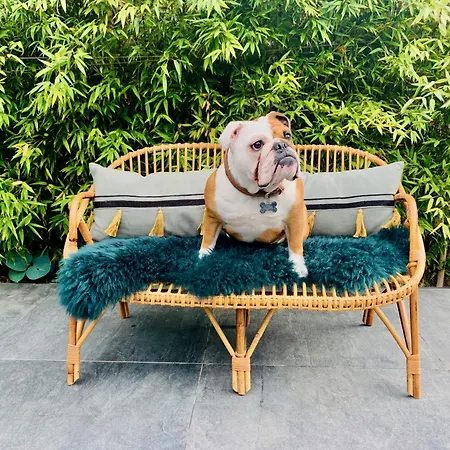 Holiday home La Maison Blanche Du 10honfleur Honfleur